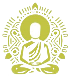 solo logo